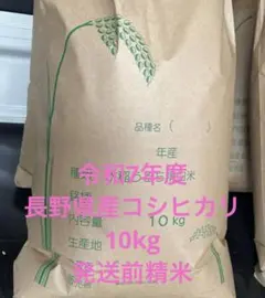 農家直送 コシヒカリ 5kg 栃木県産 令和7年 - メルカリ