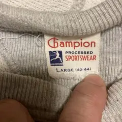 Champion ランタグ後付けパーカー目無し