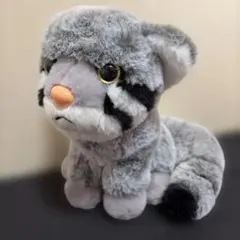 那須どうぶつ王国　神戸どうぶつ王国　マヌルネコ　ぬいぐるみ　猫　アニマル　動物