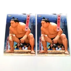 Item thumbnail for item d081c0fd-42e6-4104-90c5-6e7282ac1fb5