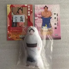 大相撲ガチャ　宇良　クッションキーホルダー　缶バッジ　おまけカード2枚付きのサムネイル