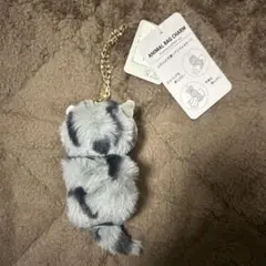 アニマルバッグチャーム 猫デザイン　シューラルー