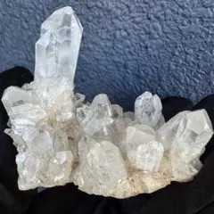 やん様 様　専用ページA1237