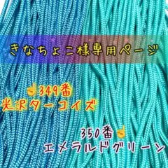きなちょこ様専用ページ