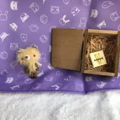 Item thumbnail for item f94d89ce-f836-45ee-aff4-9bf85a2823a0