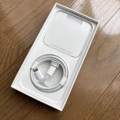 Apple純正 USB-C 13ケーブル 純正 1m