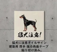 Item thumbnail for item a8141237-e59d-43cd-91e2-0b4d8e68897d