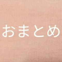 がくあじさいプロフ必読:様 リクエスト 2点 まとめ商品