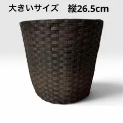 鉢カバー ラタン 籐 かご バスケット ゴミ箱 大株 大鉢