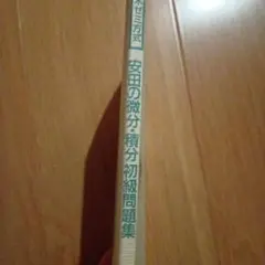 代々木ゼミ方式　安田の微分積分　初級問題集　安田亨