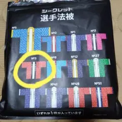 阪神タイガース　シークレット選手法被