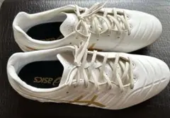 アシックス　サッカースパイク27.0 DS LIGHT