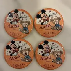 ディズニー アウラニリゾート 缶バッチ4個　　AULANI