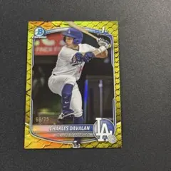 Item thumbnail for item 844a78f8-307f-4072-915e-ffa277c723f3