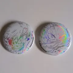 BUMP OF CHICKEN 缶バッジ 2個セット