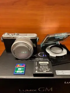 2025年最新】lumix gm1の人気アイテム - メルカリ