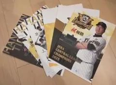 Item thumbnail for item e295db55-9e65-4292-afd0-c05e5605469a