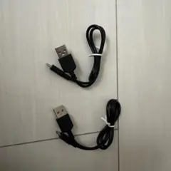 Micro USB Type-B 2本セット