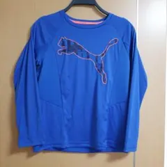 Item thumbnail for item 9fab8693-a49b-4401-a50e-21790108546f