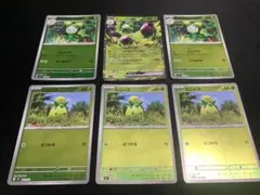 ポケモンカード　オリーヴァex　オリーニョ　ミニーブ　全ミラー6枚セット