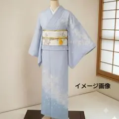 夏着物 絽 小紋 新品未使用 仕付け糸付き - メルカリ