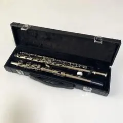 Item thumbnail for item 76a22203-41f7-499a-a730-2db39ba6d21a