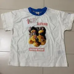 しまむら メゾン・テリア 半袖Tシャツ