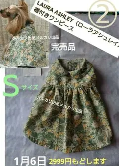 Item thumbnail for item ba704231-bc9b-4b25-ac68-b29fc0386e59