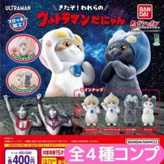 まるけん様 リクエスト 2点 まとめ商品