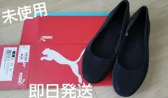 Item thumbnail for item 4f5fe194-34b4-495a-8182-c290bbd3568b