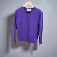 紫色 Vネックニット 長袖