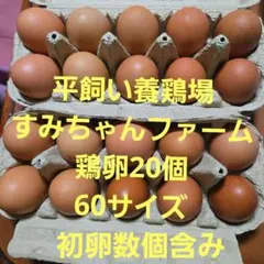 蔵王鶏園の業務用卵Lサイズ / 80個 - メルカリ