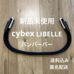 Item thumbnail for item 6bd16056-41ab-470c-b85c-88ae89e89fe1