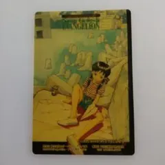 【新世紀エヴァンゲリオン 】コレクターズカード