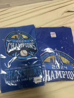 新品未開封】横浜DeNAベイスターズ 2024 CS優勝記念Tシャツ、タオル