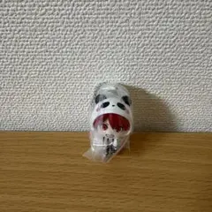 crazy raccoon CR　つまんでつなげてますこっと rion