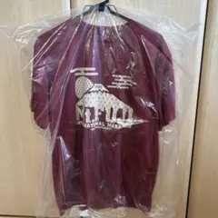 富士山マラソン 2022 Tシャツ バーガンディ Lサイズのサムネイル