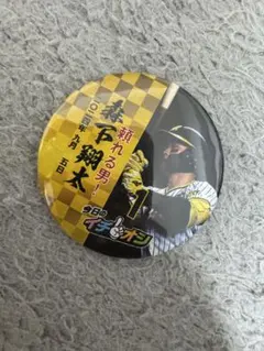 阪神タイガース イチオシ缶バッジ 6/30 森下翔太選手 - メルカリ