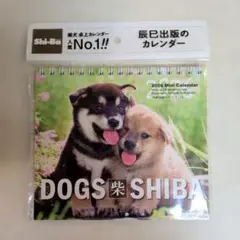 Item thumbnail for item aab66fb4-d190-4b29-876b-c68e6e7cc6a1