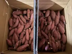 茨城県産　さつまいも　紅はるか　10kのサムネイル