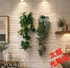 光触媒　観葉植物　ウォールグリーン　フェイクグリーン　壁掛けユーカリとアイビー