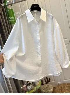 シャツ ブラウス カジュアル ホワイト 長袖 大きいサイズ 折り衿 通勤