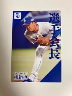 プロ野球チップスカード/柳裕也