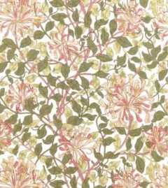 modaウィリアムモリス⭐️【新柄】　ハニーサックル 白地