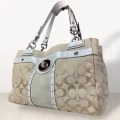 Coach Tote Bag Signature Canvas Python