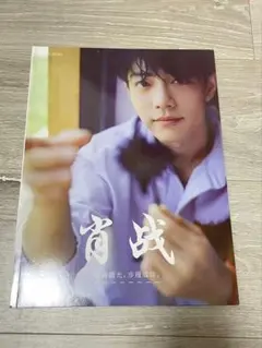 2026年最新】肖战 写真集の人気アイテム - メルカリ