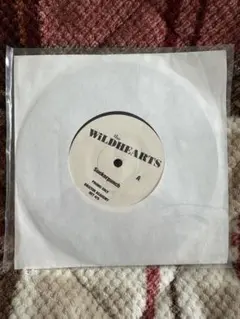 Item thumbnail for item b436b50d-1a1f-4339-bc7b-a6fbab8043a1