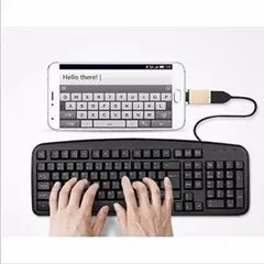 USB 3.1 Type C & USB 3.0 変換アダプタ【未使用品】