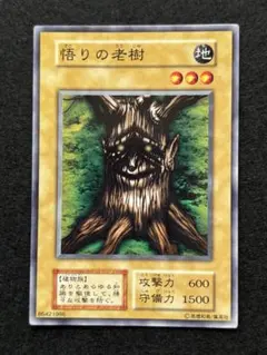 お殿様 リクエスト 2点 まとめ商品