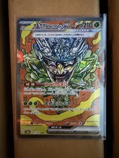 オーガポン かまどのめんex SAR SV8a テラスタルフェスex 204/…